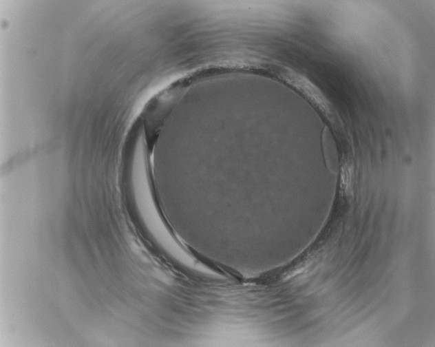 X0000087360724200705041854