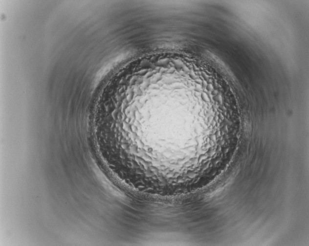 X0000087360725200705041854