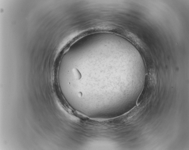 X0000087360726200705041854