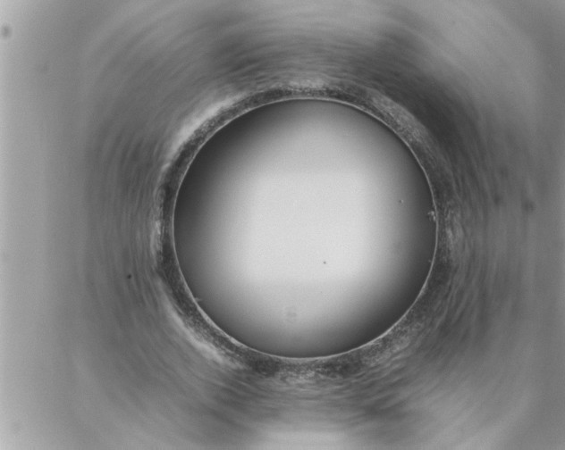 X0000087360728200705041854