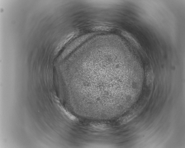 X0000087360729200705041854