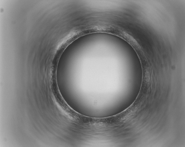 X0000087360730200705041854