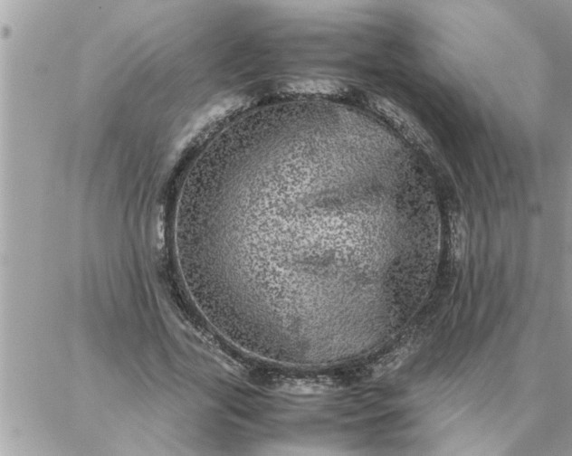 X0000087360731200705041854