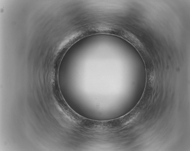 X0000087360732200705041854