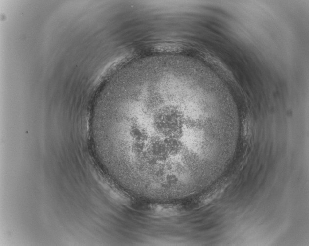 X0000087360733200705041854