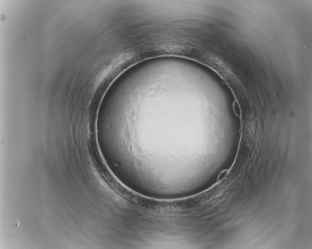 X0000087360734200705041854