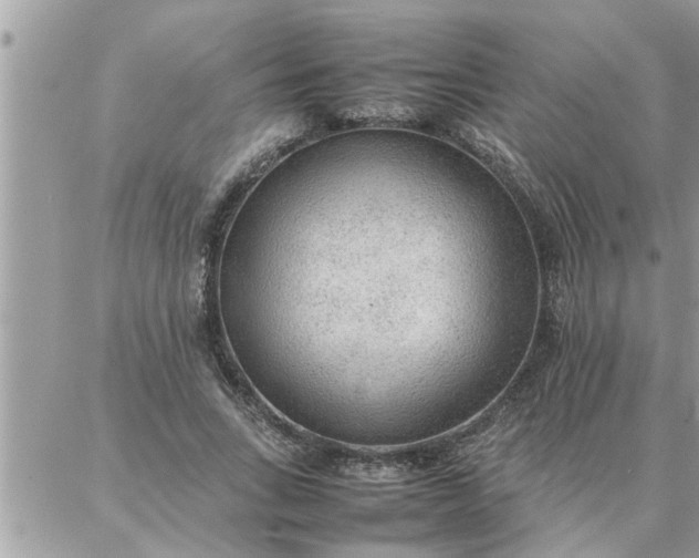 X0000087360735200705041854