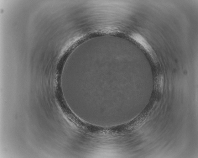 X0000087360736200705041854