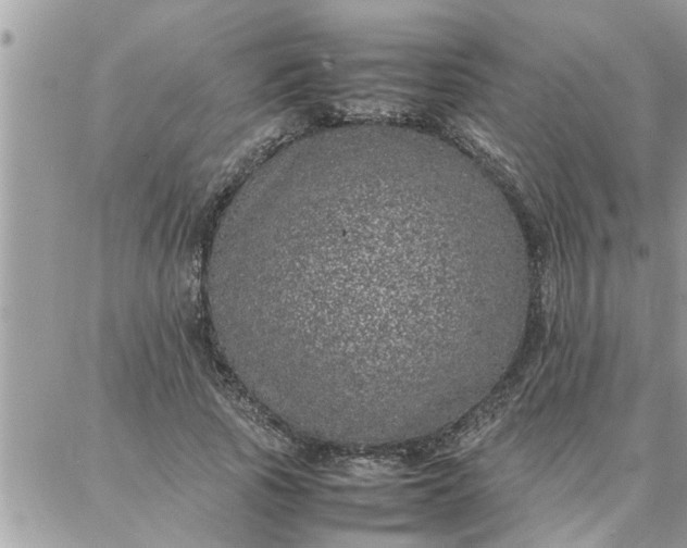 X0000087360737200705041854