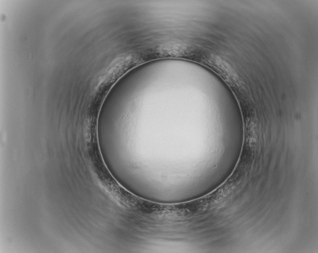 X0000087360738200705041854