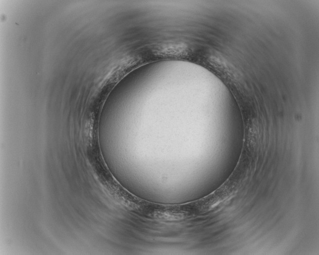 X0000087360739200705041854