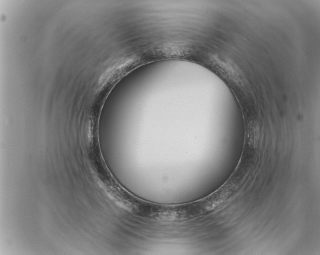 X0000087360740200705041855