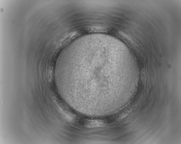 X0000087360741200705041855