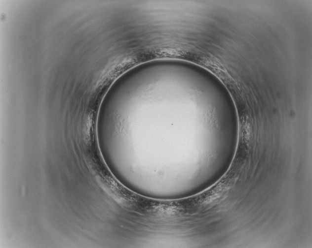 X0000087360742200705041855