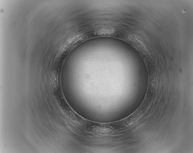 X0000087360743200705041855