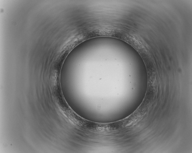 X0000087360744200705041855