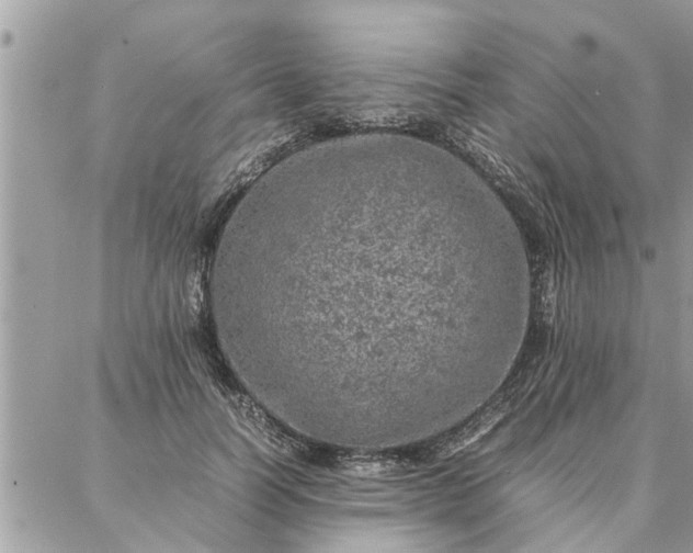 X0000087360746200705041855