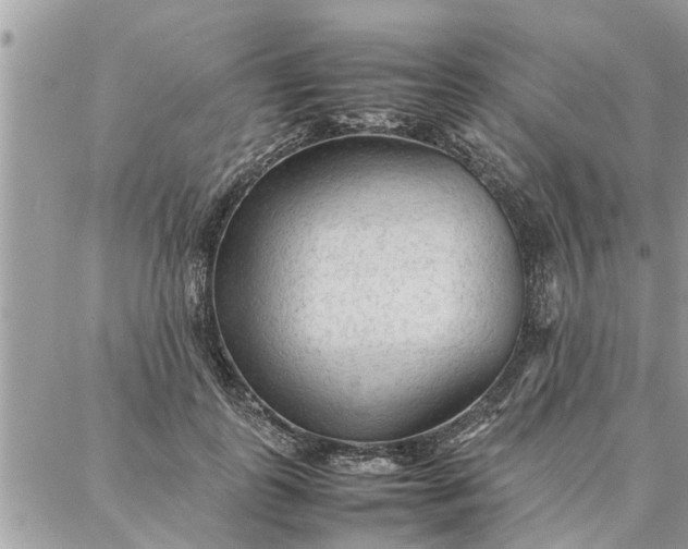 X0000087360747200705041855