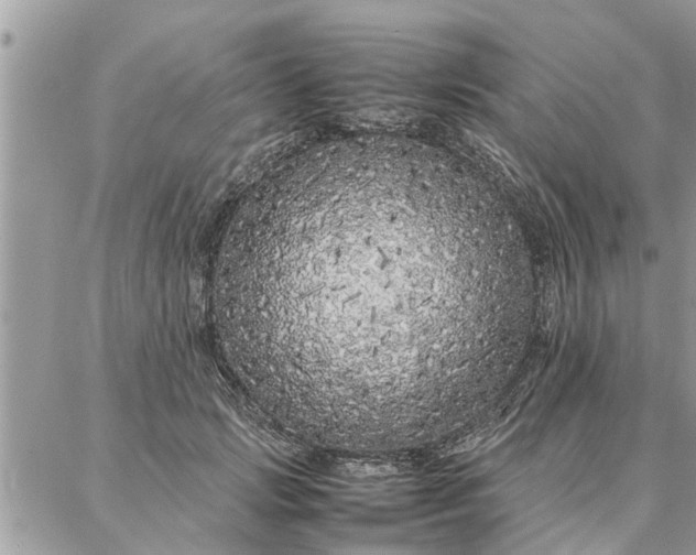 X0000087360749200705041855