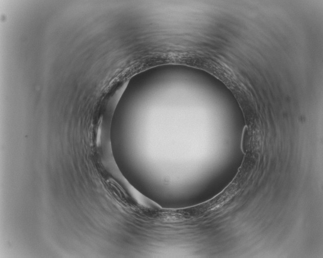 X0000087360750200705041855