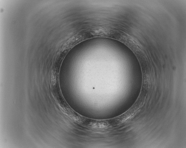 X0000087360751200705041855