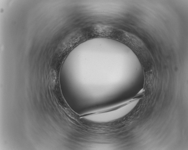 X0000087360752200705041855