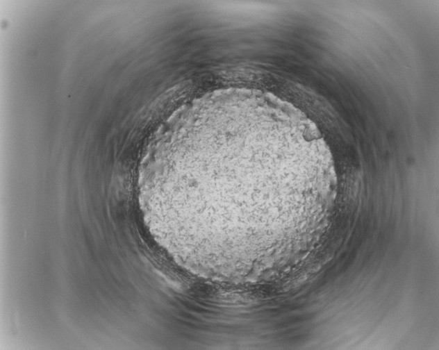 X0000087360753200705041855