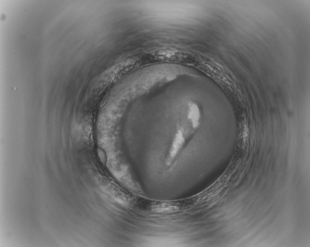 X0000087360754200705041855