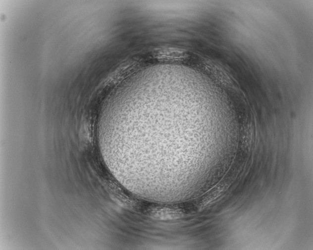 X0000087360755200705041855