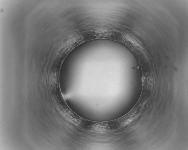 X0000087360756200705041855