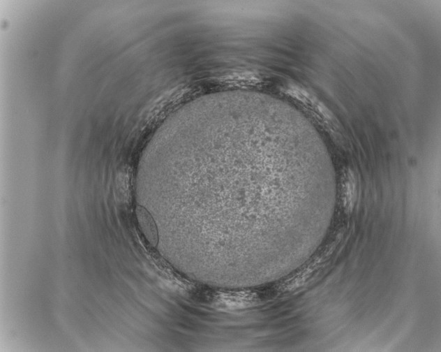 X0000087360757200705041855