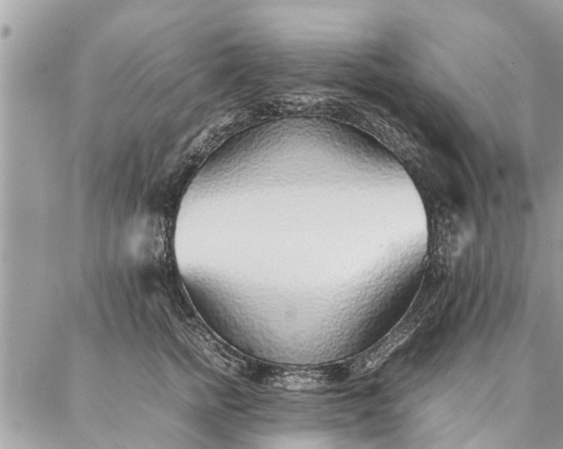 X0000087360758200705041855