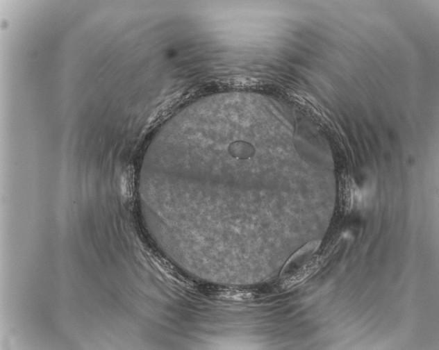 X0000087360760200705041855