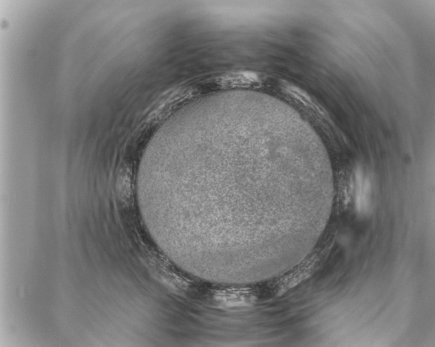 X0000087360761200705041855