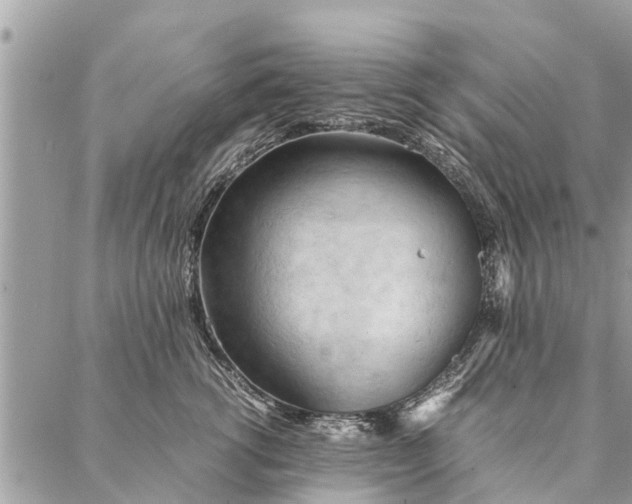 X0000087360762200705041855