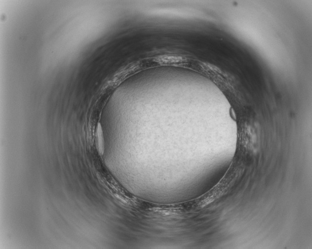 X0000087360763200705041855