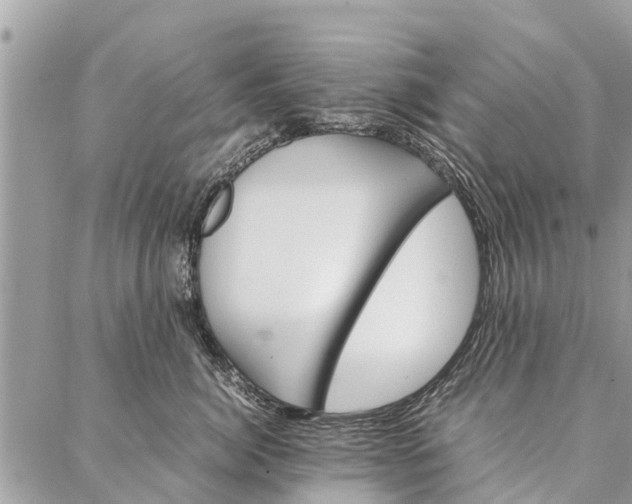 X0000087360764200705041855