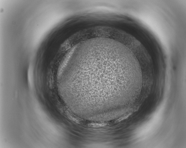 X0000087360765200705041855