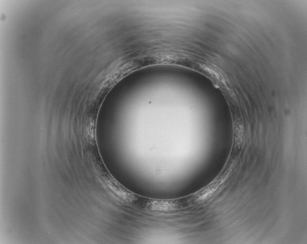 X0000087360766200705041855