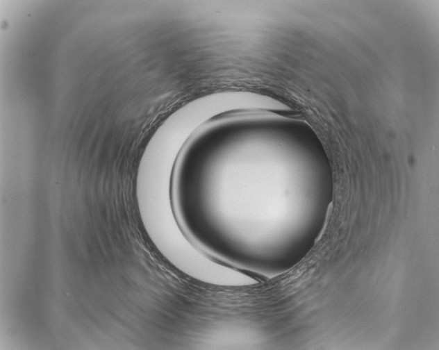 X0000087360768200705041855