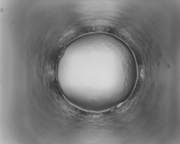 X0000087360771200705041854