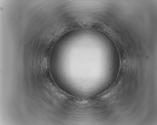 X0000087360772200705041854