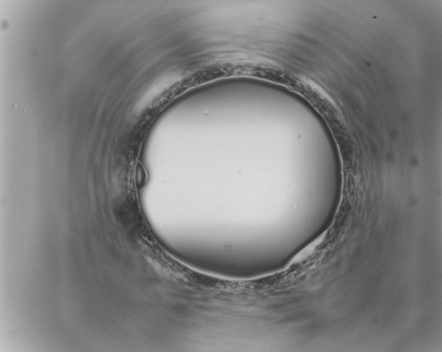 X0000087360775200705041854