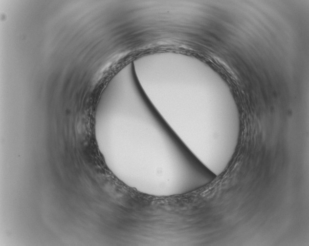 X0000087360776200705041854