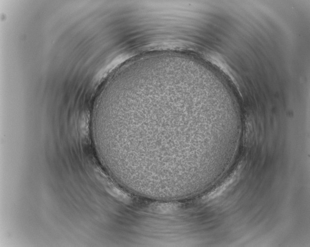 X0000087360778200705041854