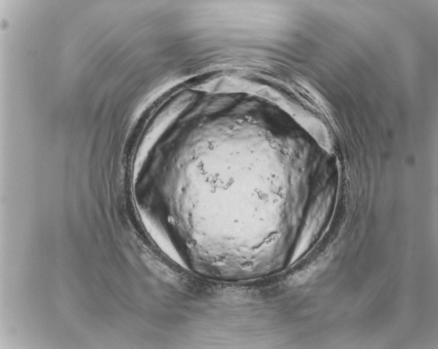 X0000087360779200705041854