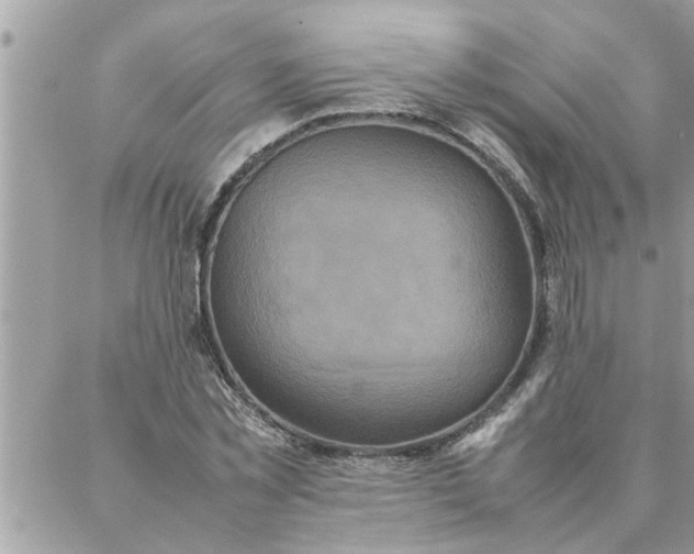 X0000087360781200705041854