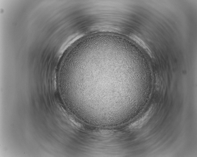 X0000087360782200705041854