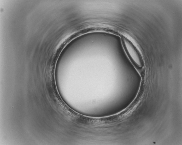 X0000087360783200705041854