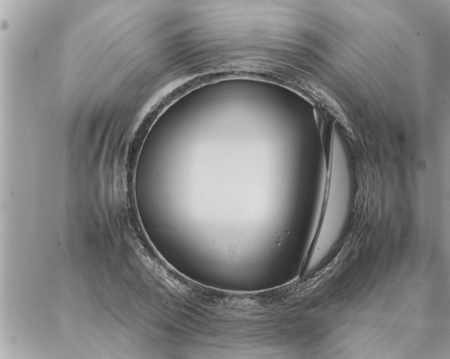 X0000087360784200705041854